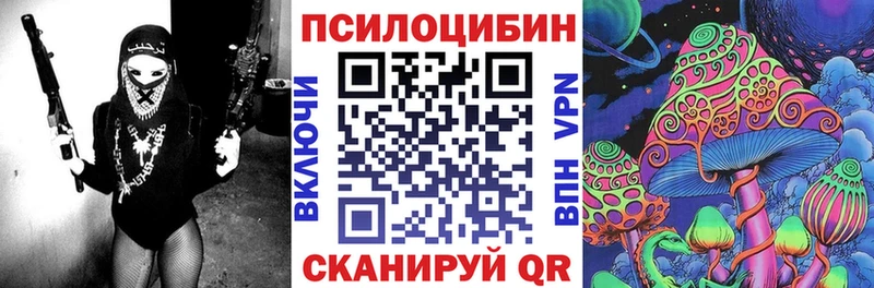 Галлюциногенные грибы Psilocybine cubensis  Купить закладки  Дно 